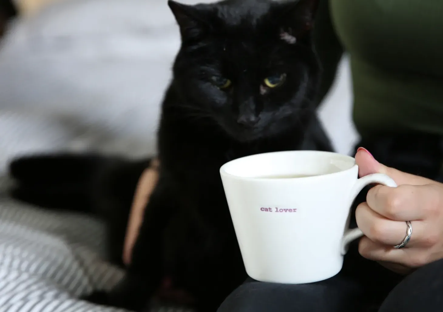 Keith Brymer Jones - Medium Mug - cat lover - 350ml
